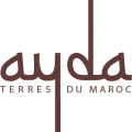 Ayda logo